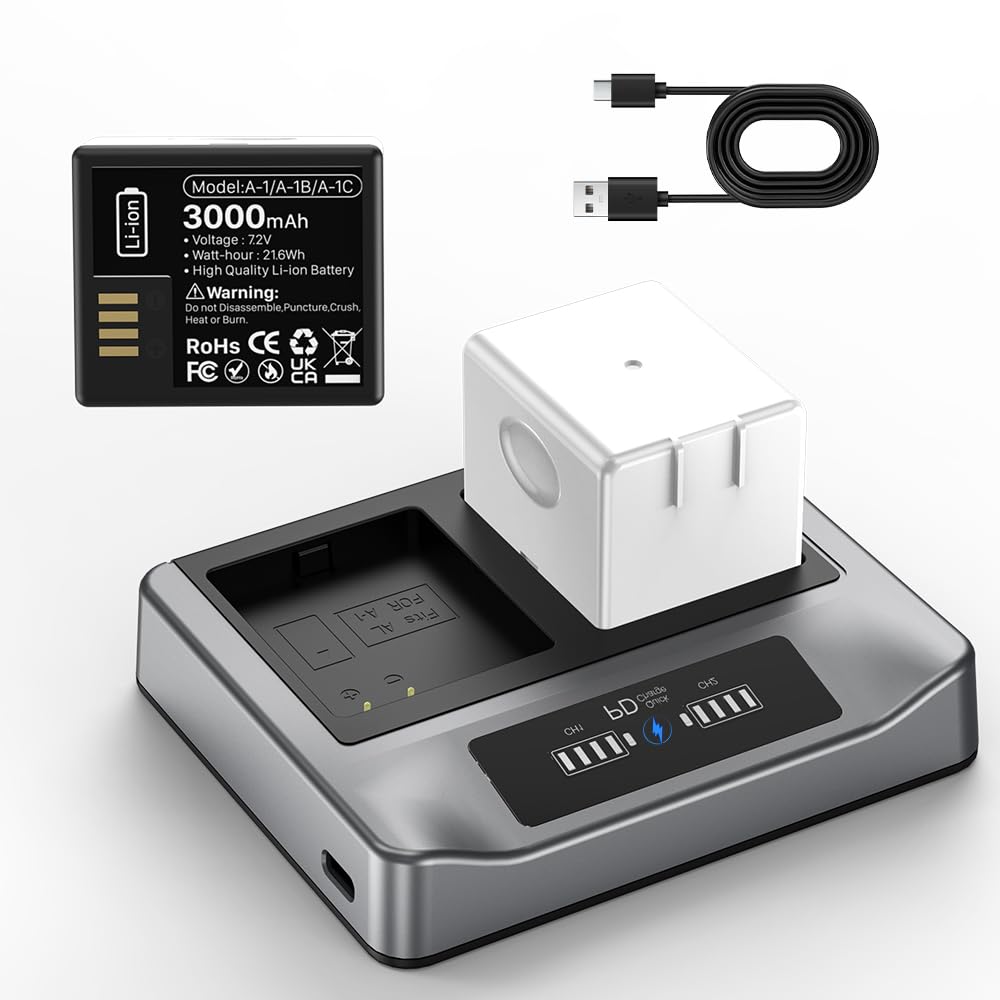 2-Pack Rechargeable Batteries with Charging Station R744687