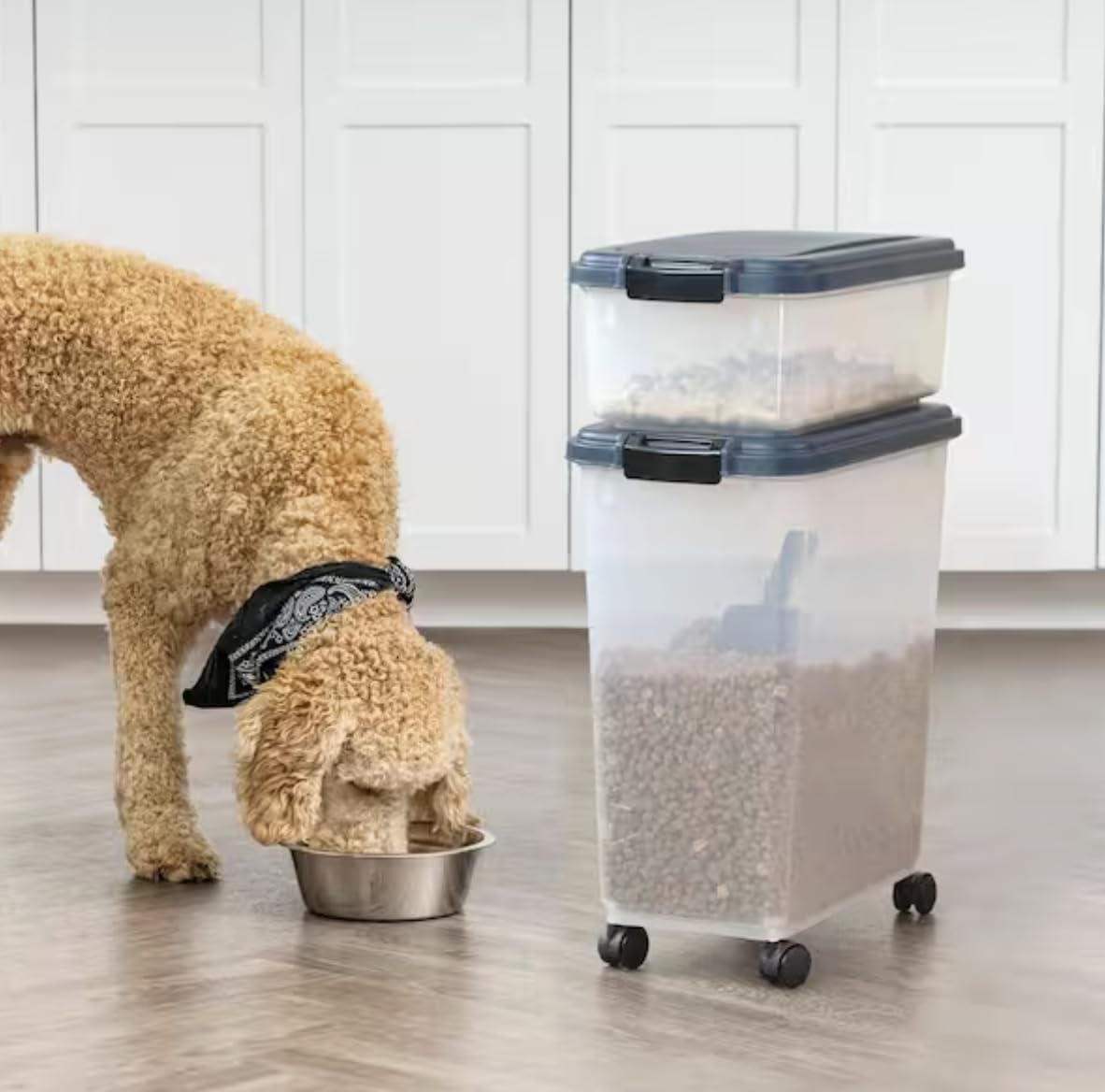 Airtight Pet Food Storage Combo with Scoop U4465