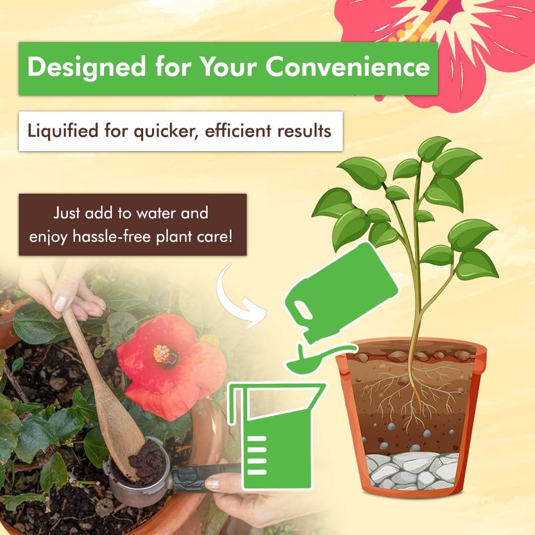 20-20-20 Liquid Plant Food, 32 oz T894973
