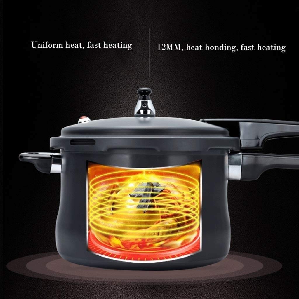 Stainless Steel Dishwasher Safe Cadmium Free Pressure Cooker Black 3L A12938