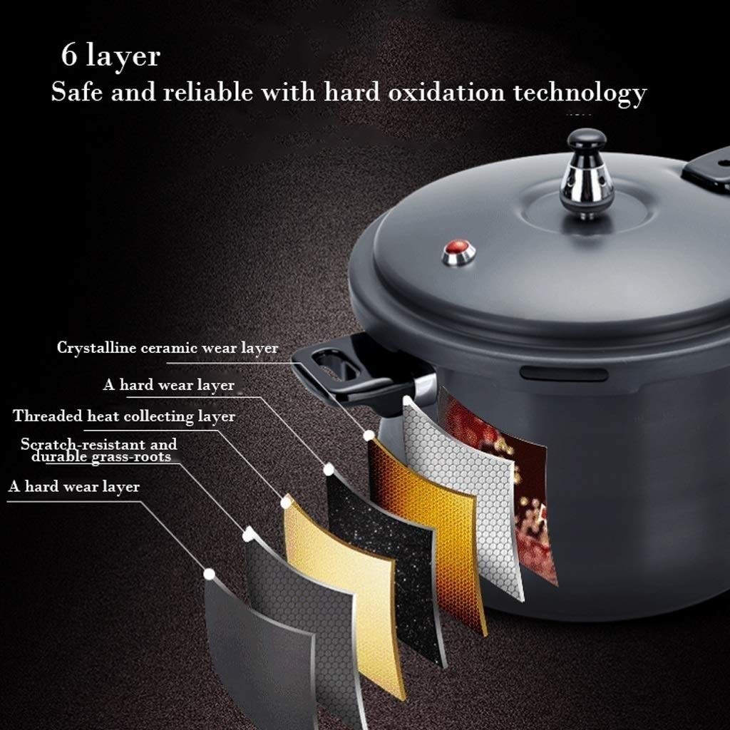 Stainless Steel Dishwasher Safe Cadmium Free Pressure Cooker Black 3L A12938