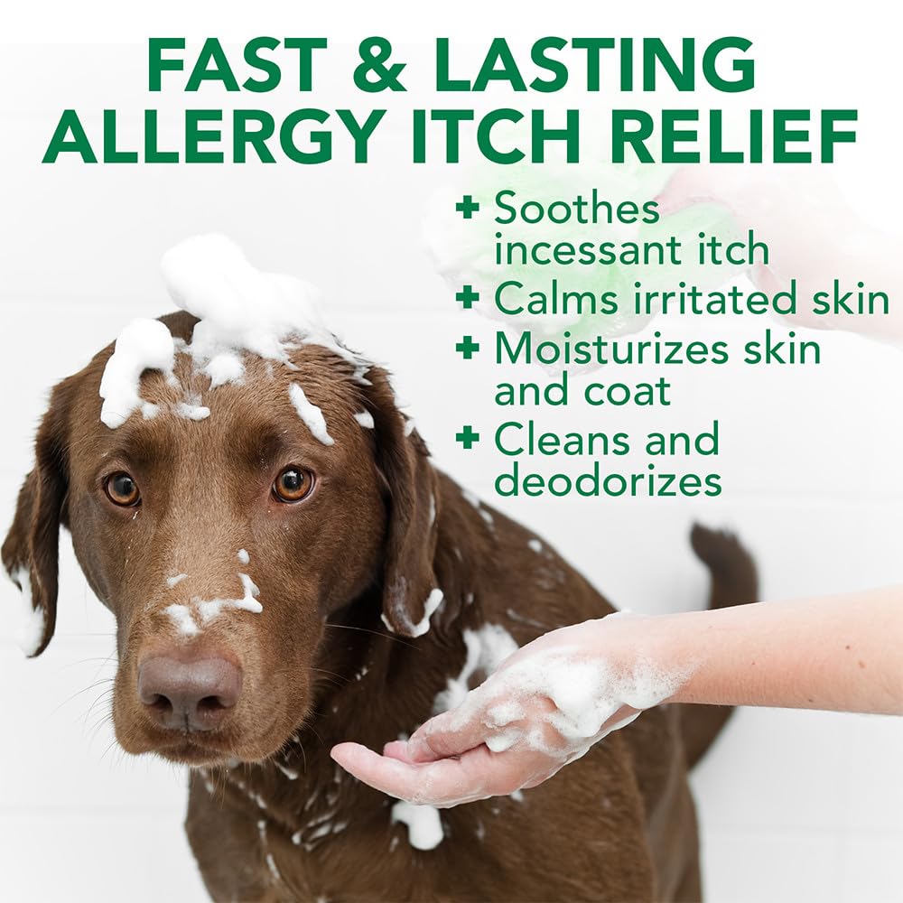 Oatmeal Dog Shampoo 16 oz R4586