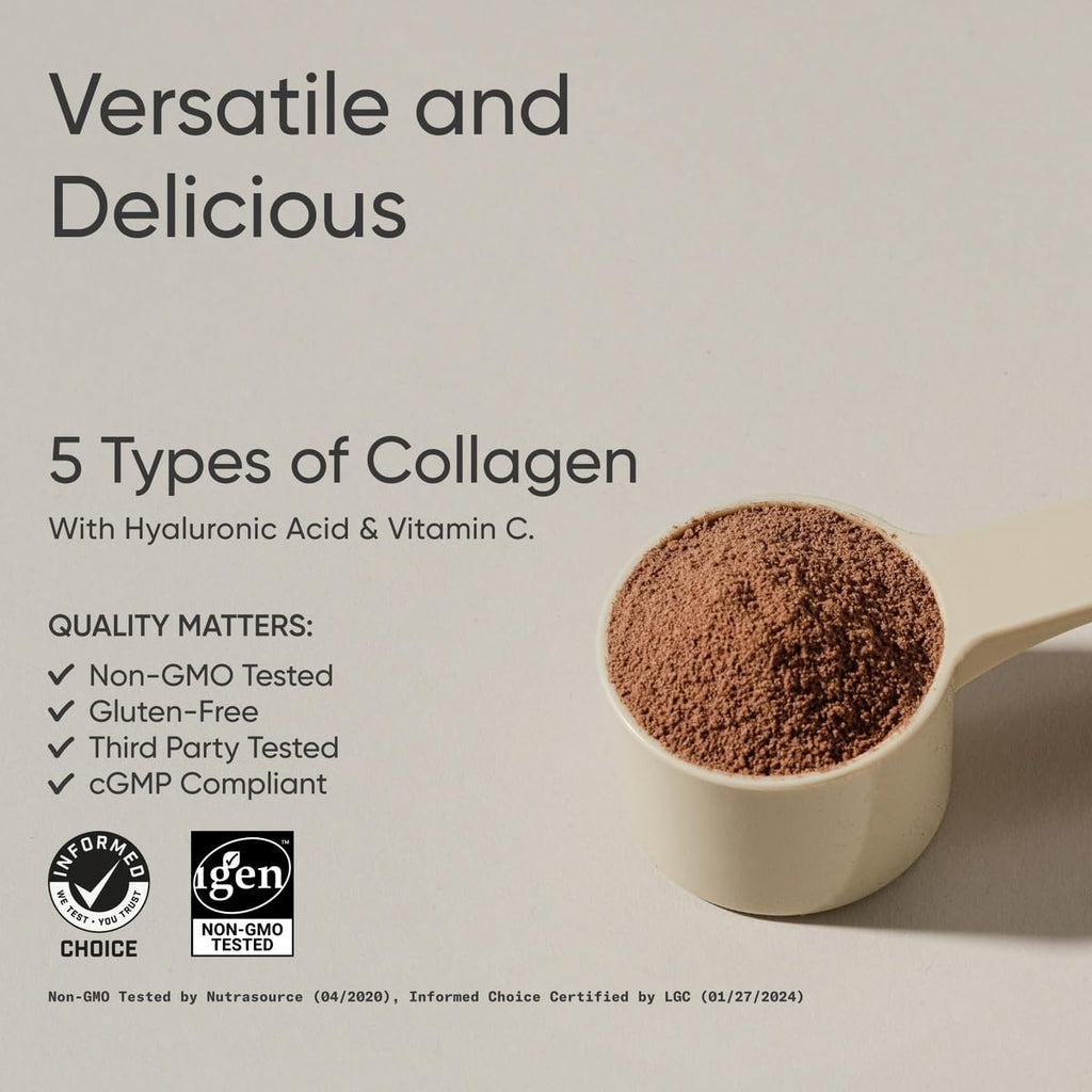Chocolate Multi Collagen Protein Powder E6427