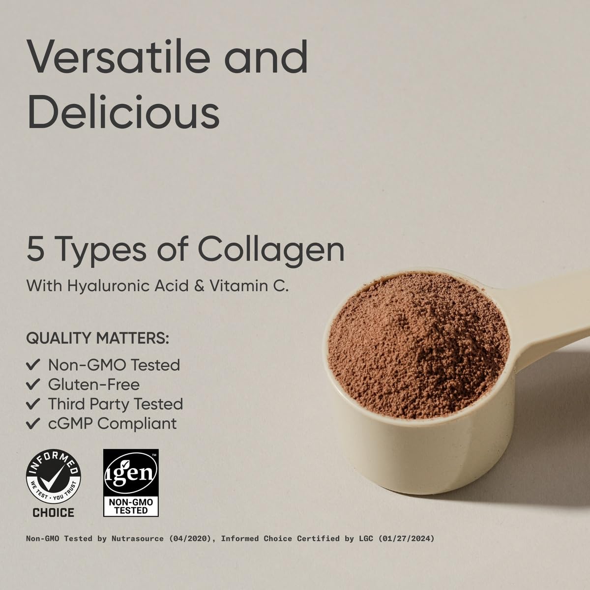 Chocolate Multi Collagen Protein Powder E6427