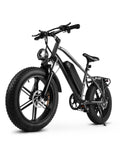 1000W Peak Electric Mountain Bike 48V 13Ah E80775