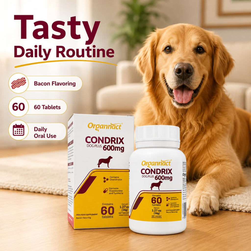 Bacon Flavored Glucosamine Chondroitin Turmeric Dog Supplement 60 Count K491