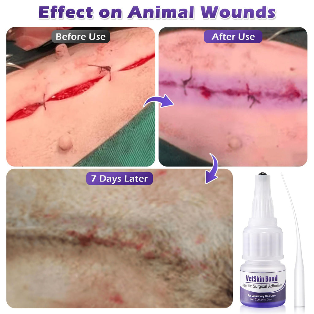 3ml Veterinary Surgical Skin Glue with 10 Applicators B685