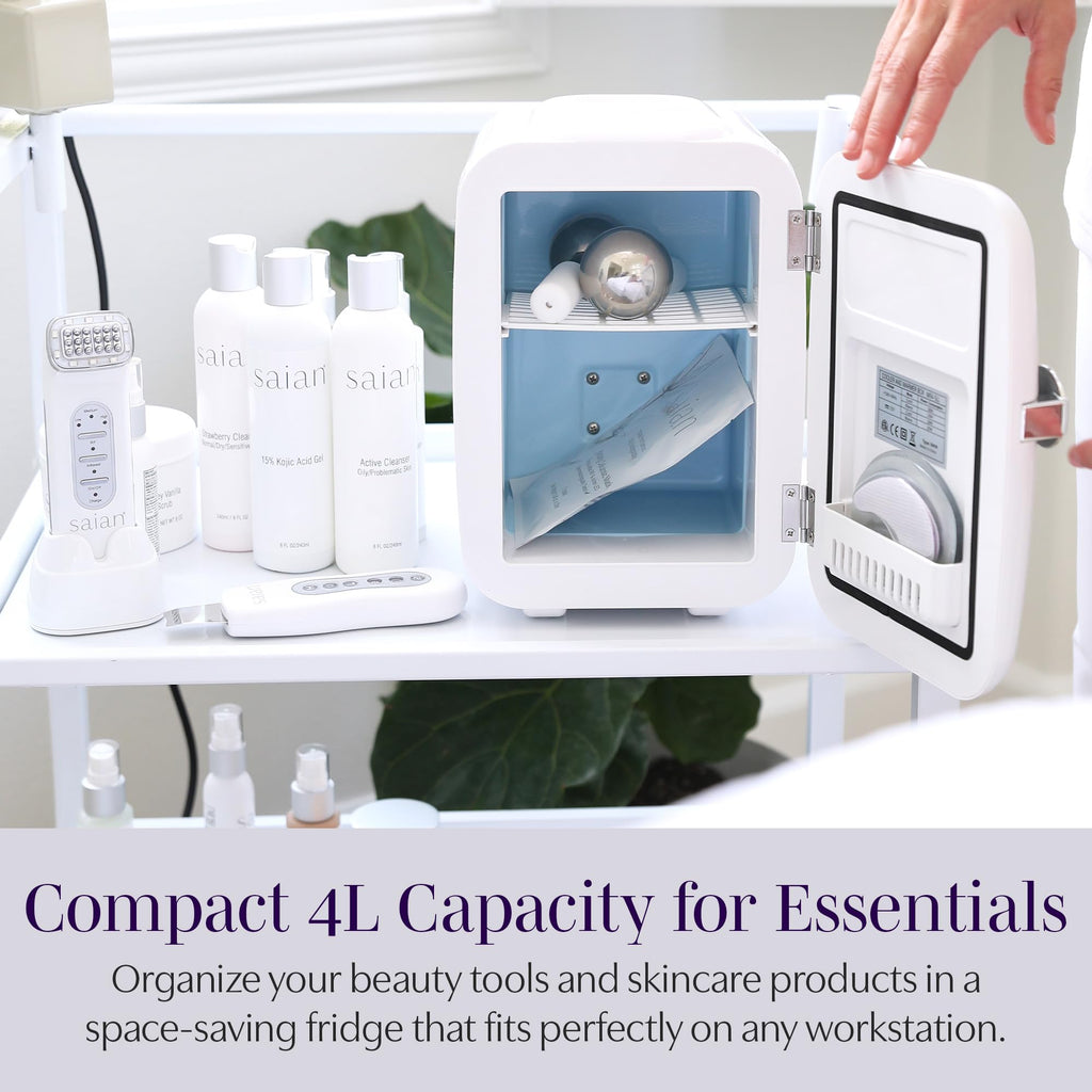 Compact 4L Portable Mini Fridge H9293