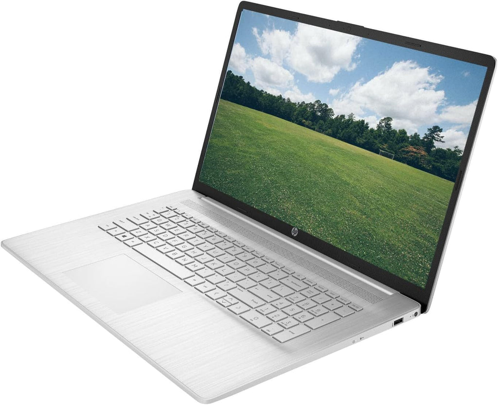 17.3" Touchscreen Laptop AMD Ryzen 5 16GB RAM 1TB SSD Natural Silver Q377