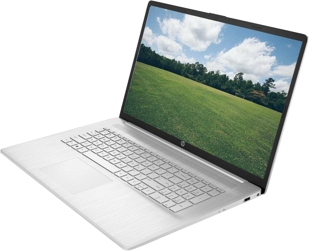 17.3" Touchscreen Laptop AMD Ryzen 5 16GB RAM 1TB SSD Natural Silver Q377
