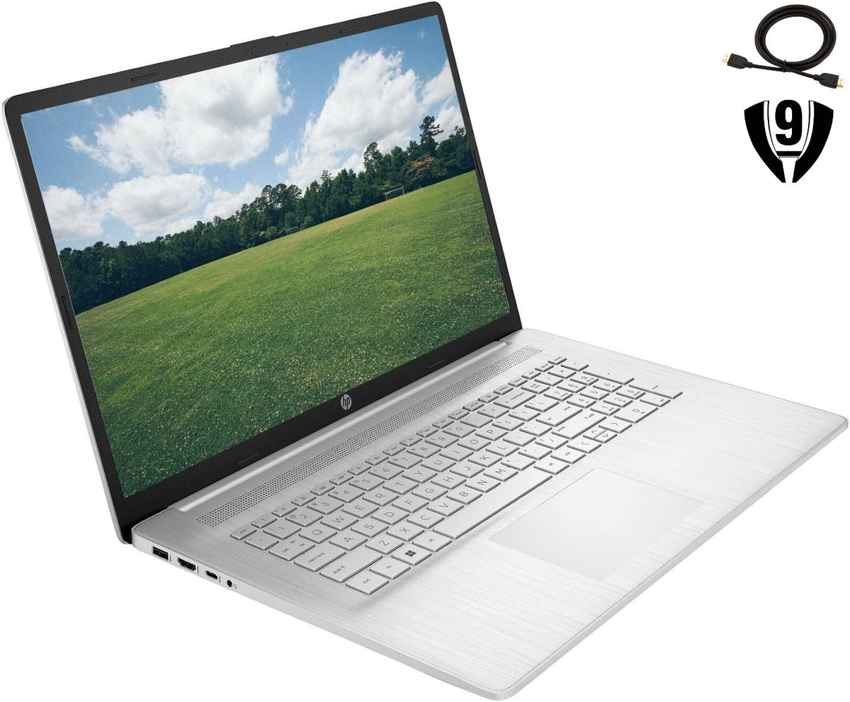 17.3" Touchscreen Laptop AMD Ryzen 5 16GB RAM 1TB SSD Natural Silver Q377