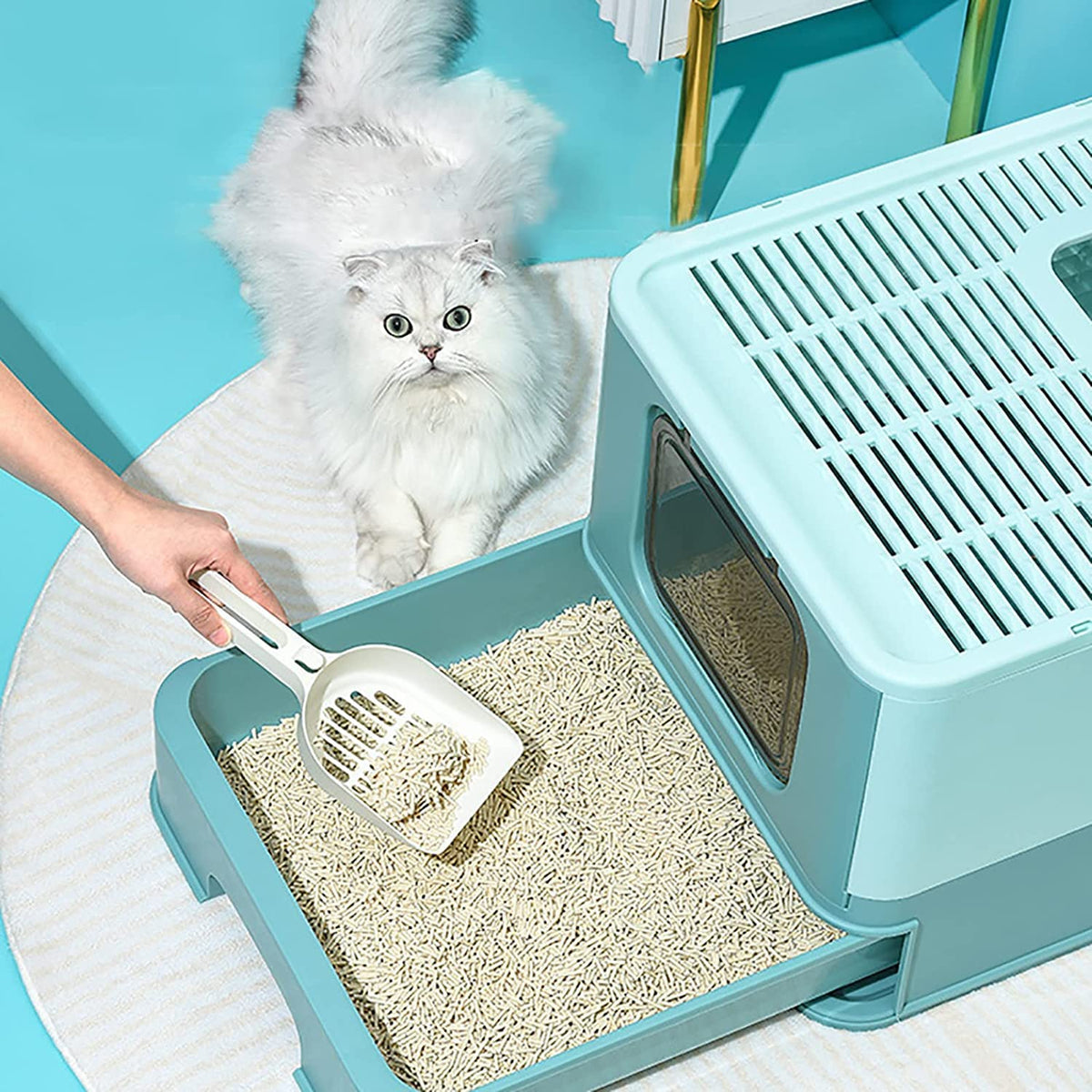 Foldable Large Top Entry Anti-Splashing Cat Litter Box with Lid and Scoop G37166