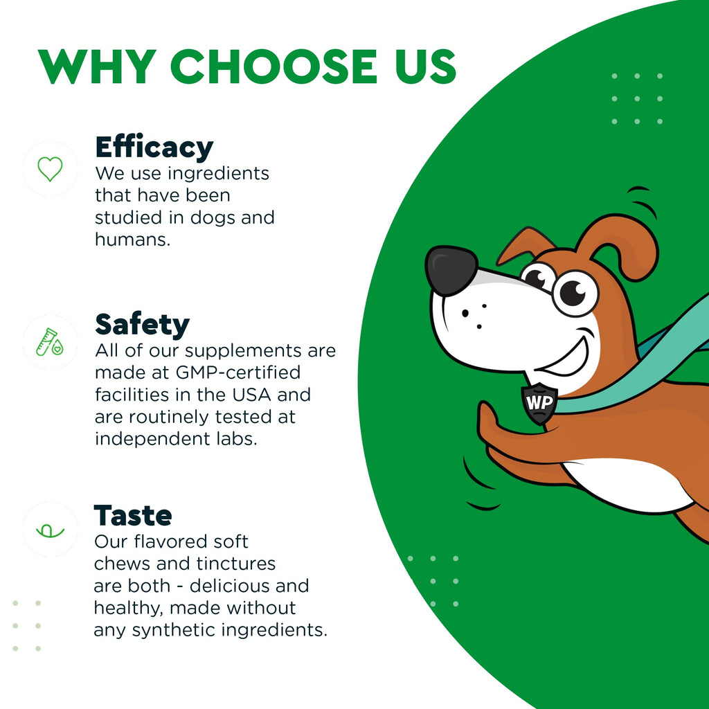 Soft Chews Plus Multivitamin Chews for Dogs R41274