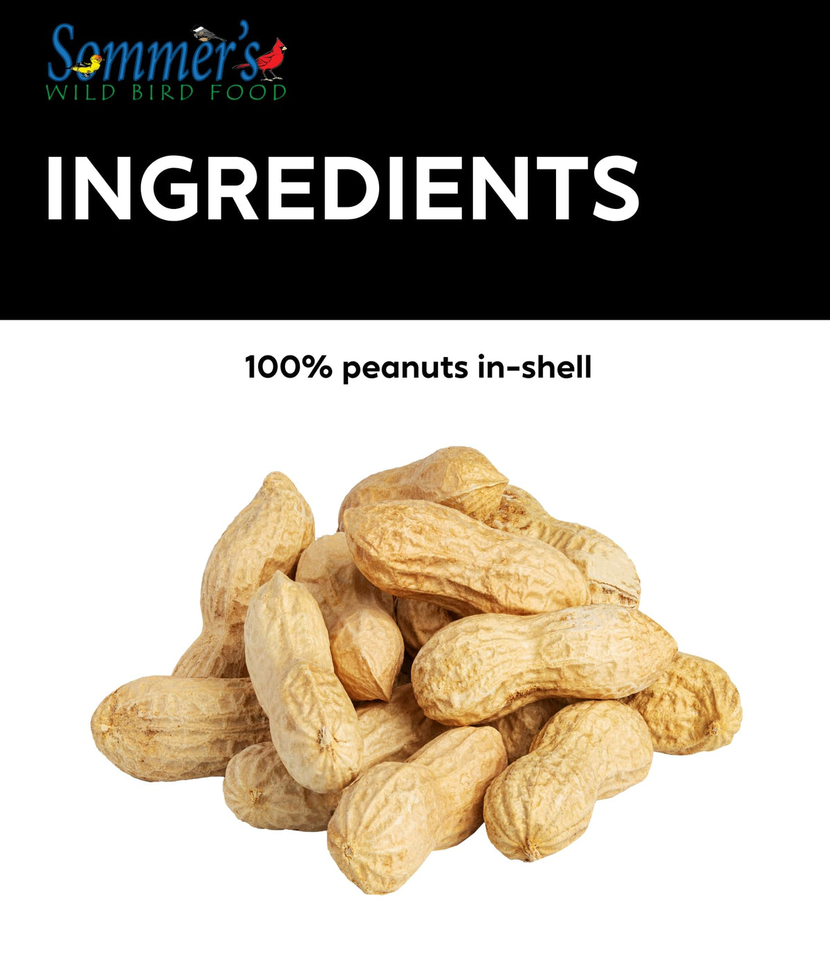 Raw Peanuts in Shell Bird & Wildlife Feed 25 lb E64077