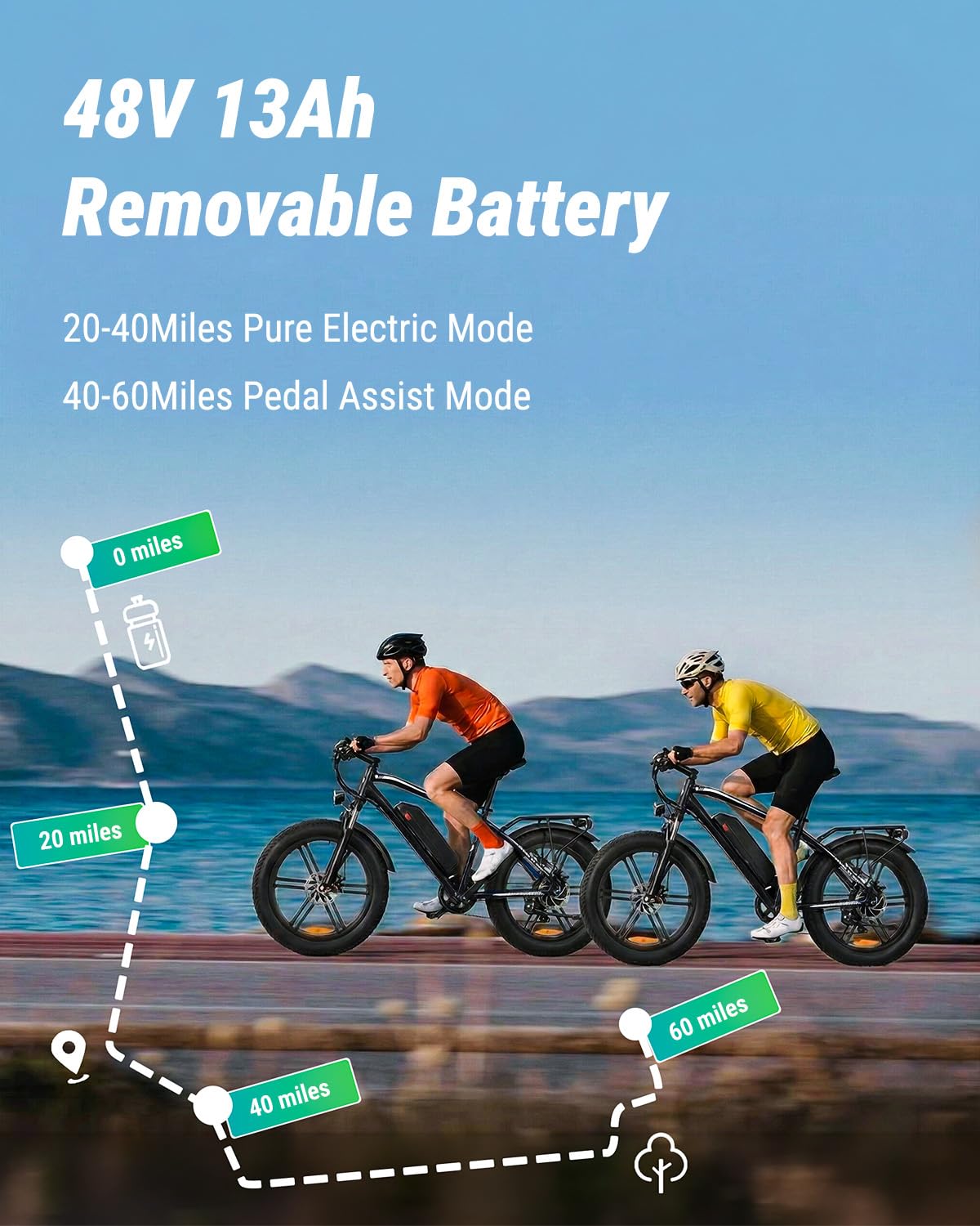 1000W Peak Electric Mountain Bike 48V 13Ah E80775