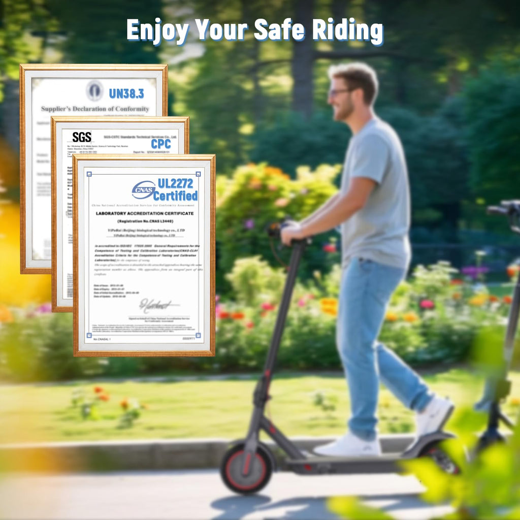 Electric Scooter 350W/500W Motor 8.5'' Solid Tire V2577
