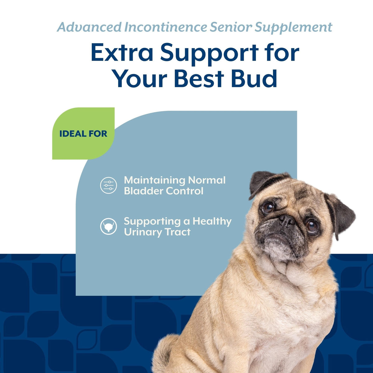 Senior Incontinence Dog Supplement 60 Ct V59946