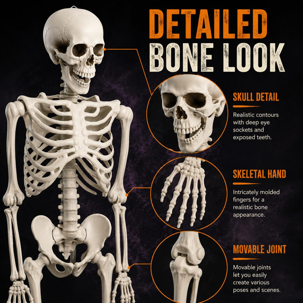 Life Size Posable Skeleton W4499