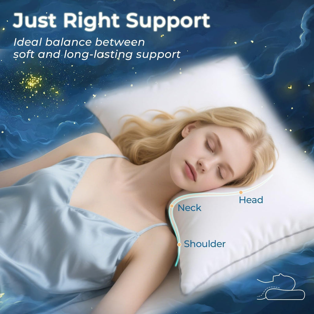 King Size Down Alternative Pillows Set of 2 F190