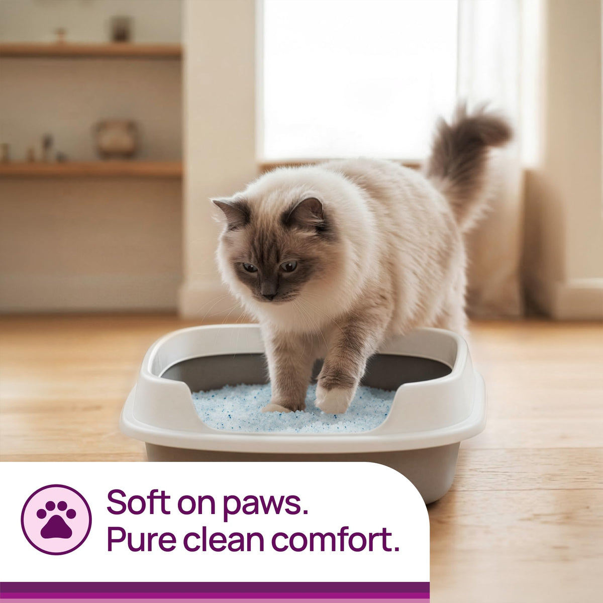 Unscented Non-Clumping Crystal Cat Litter, 7 lb P93333