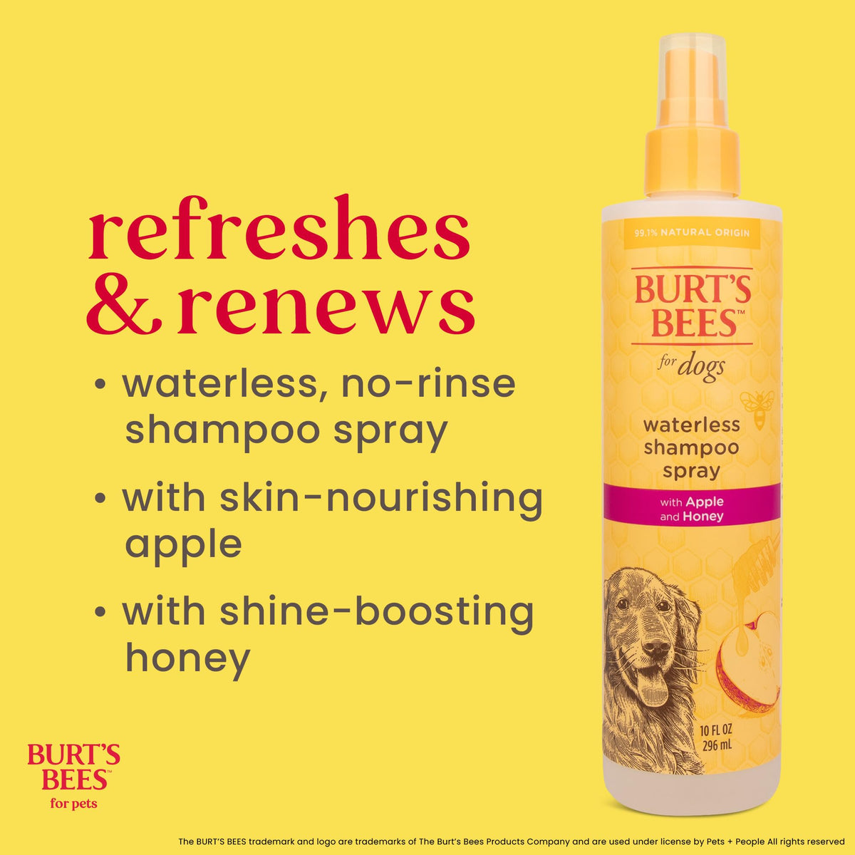 Waterless Shampoo Spray with Apple & Honey, 10 Fl Oz B35522