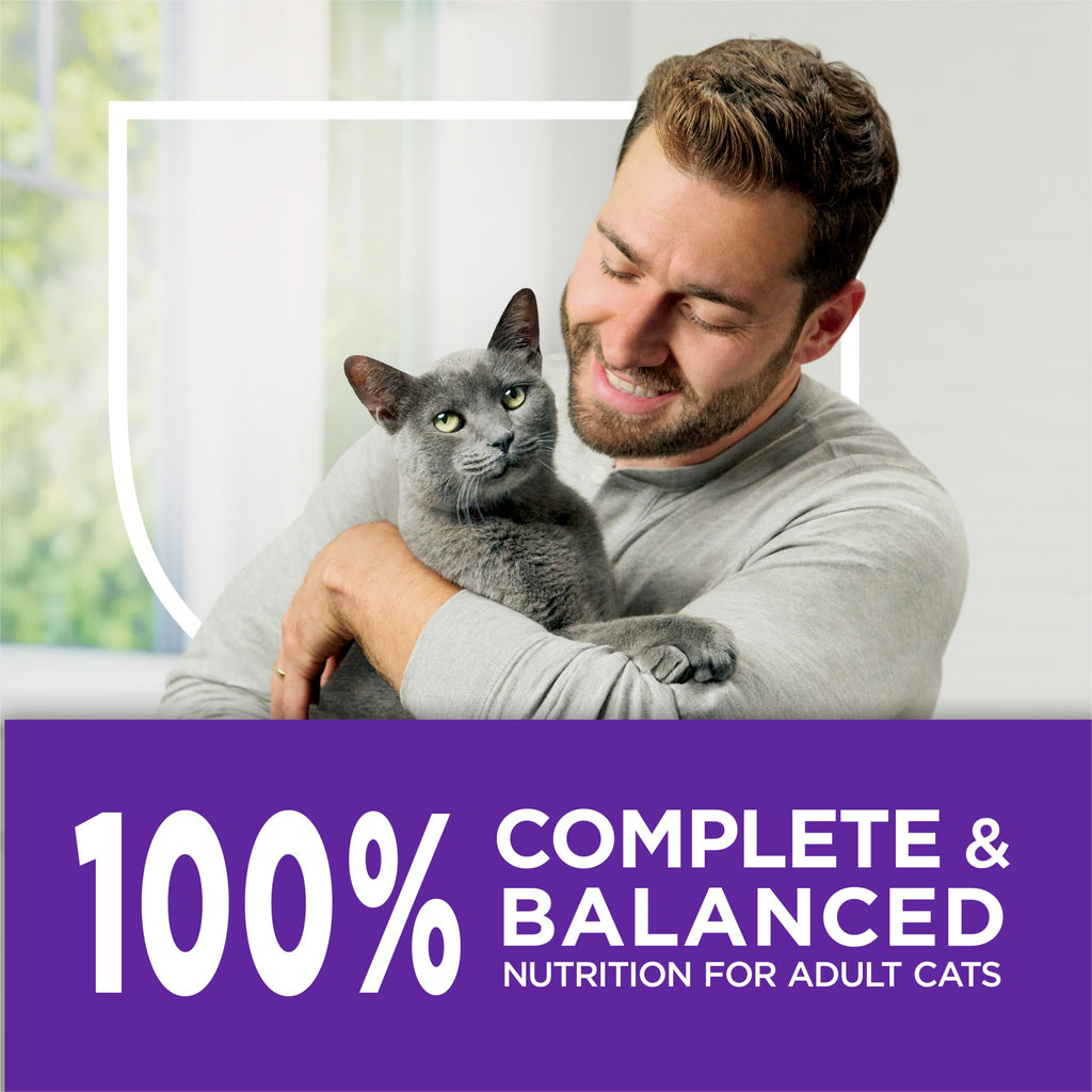 Sensitive Stomach & Skin Dry Cat Food 13 lb Bag Z586602