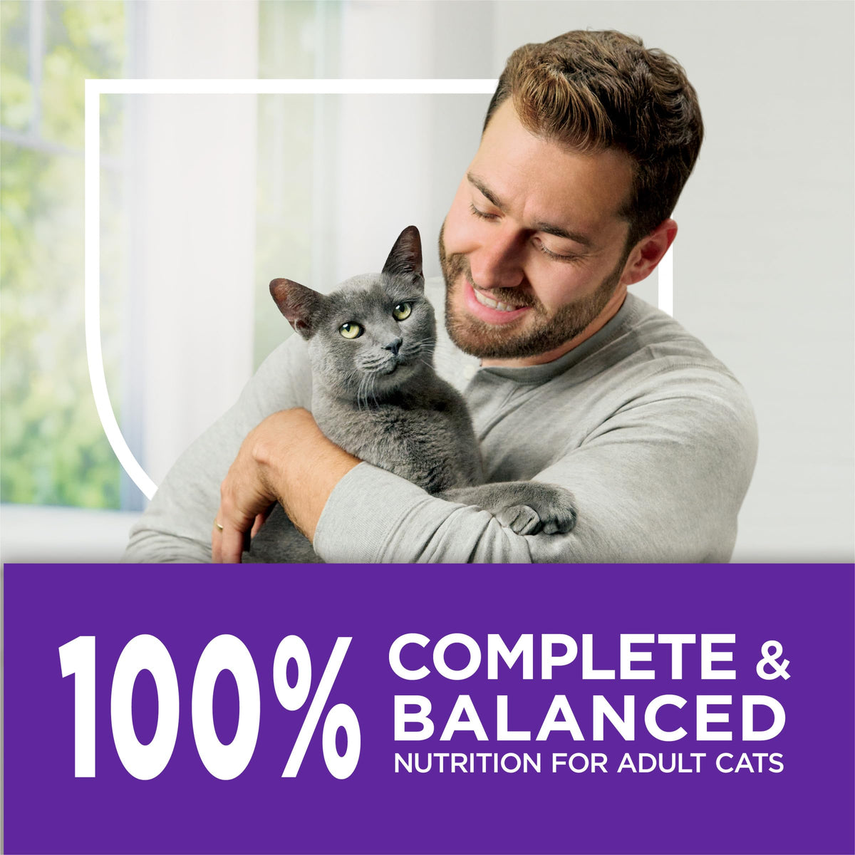 Sensitive Stomach & Skin Dry Cat Food 13 lb Bag Z586602