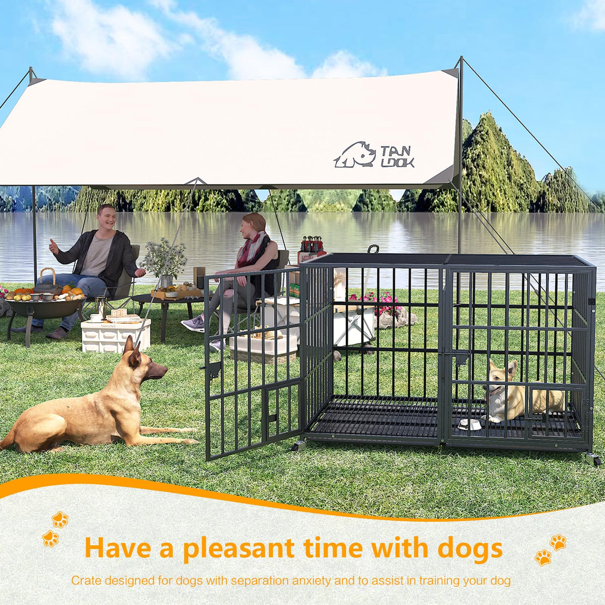 42 Inch Heavy Duty Metal Dog Crate with Divider A22545