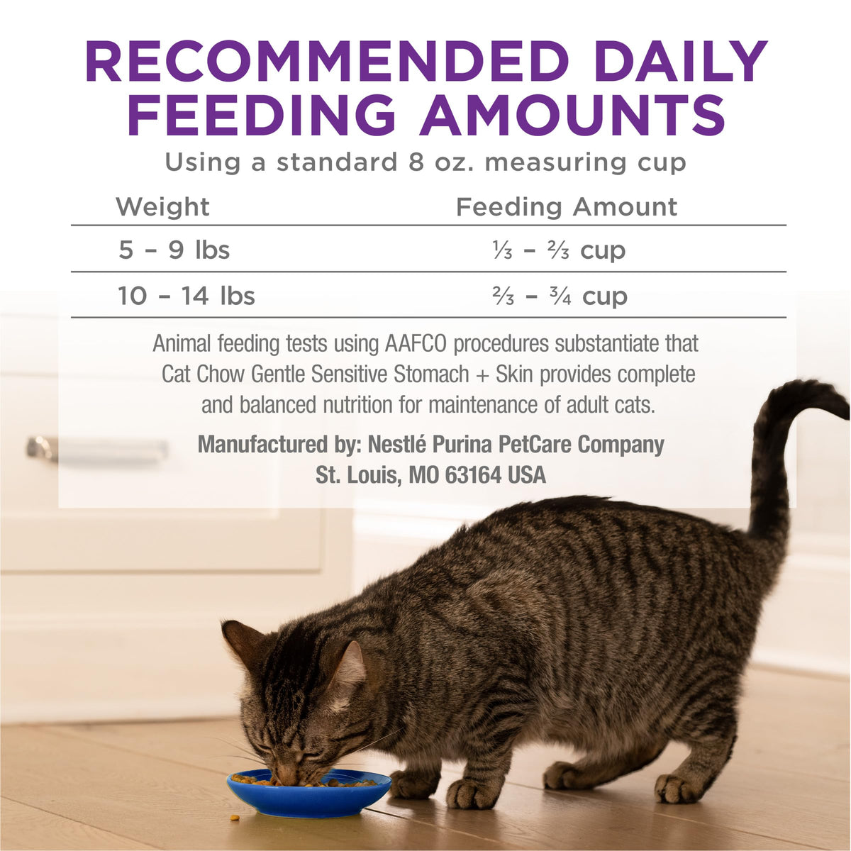 Sensitive Stomach & Skin Dry Cat Food 13 lb Bag Z586602