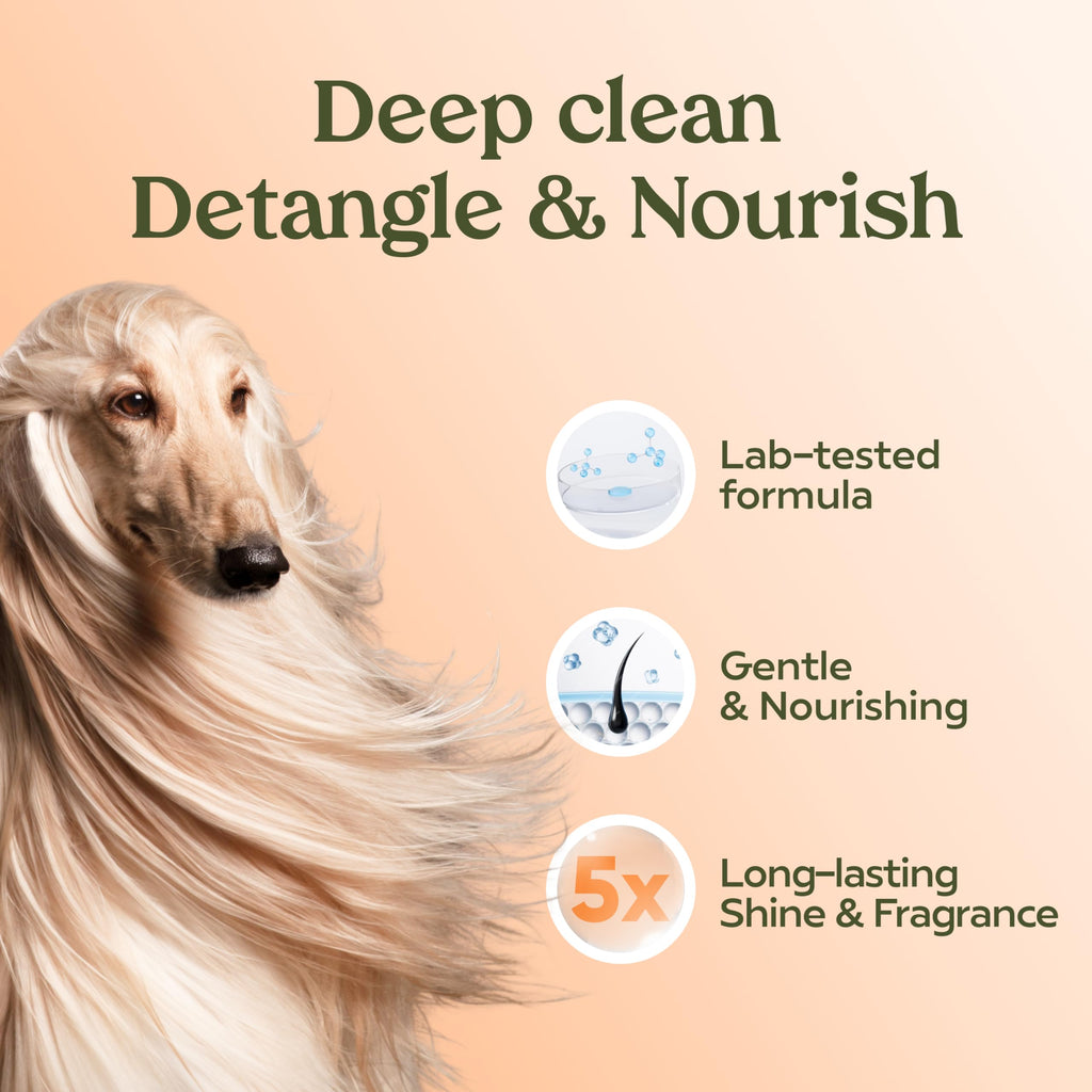 Dog Shampoo and Conditioner H579120