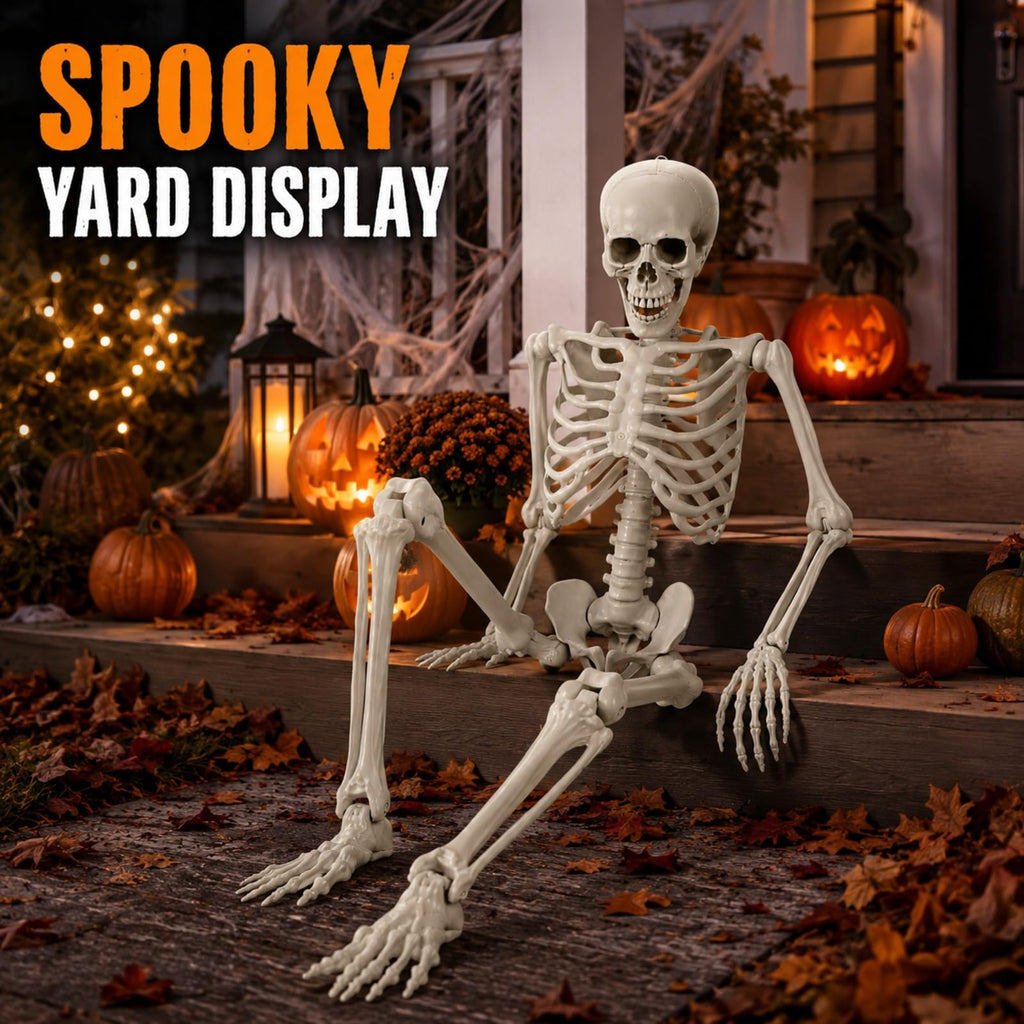 Life Size Posable Skeleton W4499
