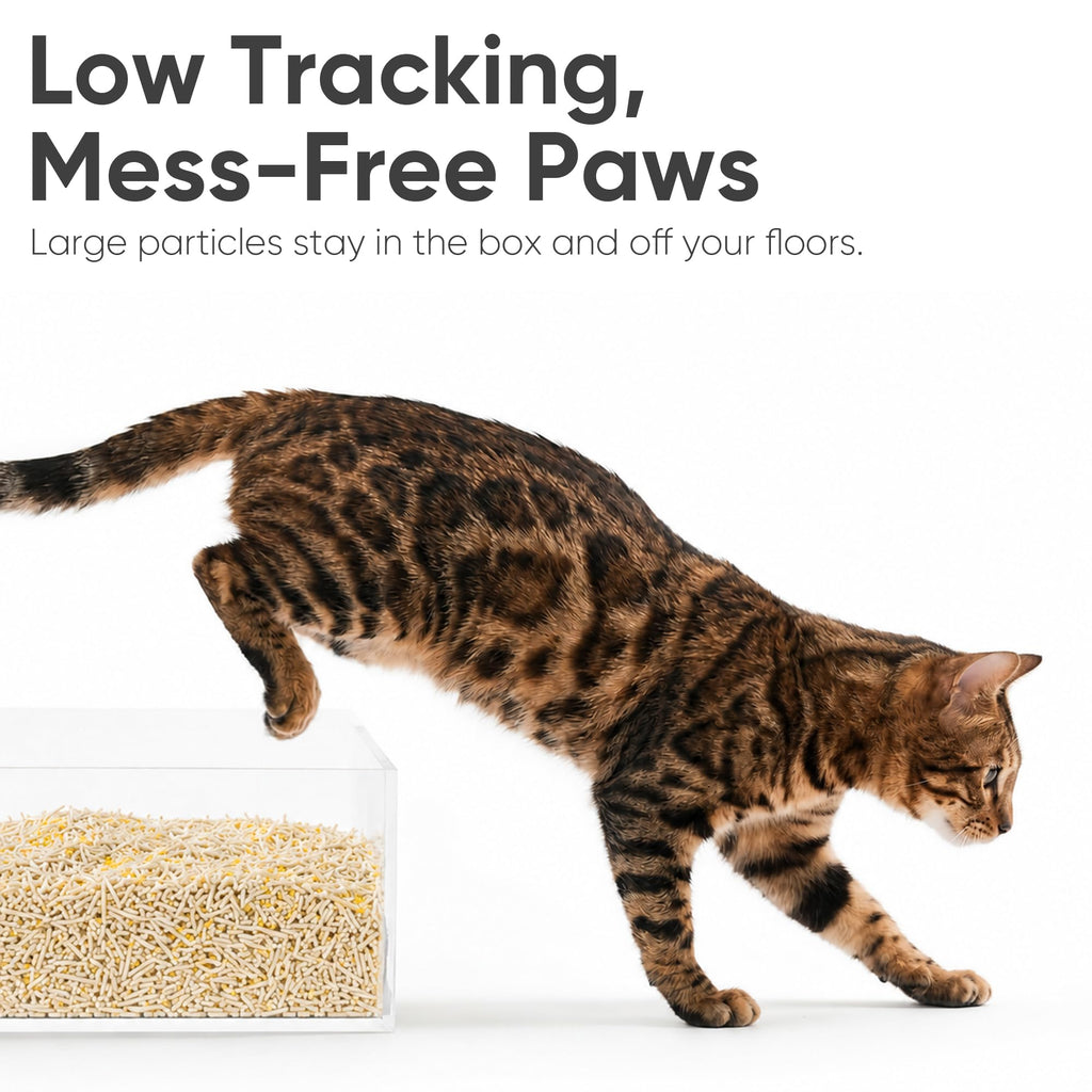 Clumping Tofu Cat Litter 18 lb M64509