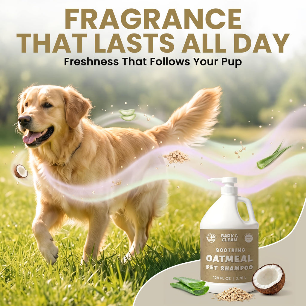 Oatmeal Dog Shampoo 1 Gallon with Pump Hypoallergenic Aloe Vera Coconut Oil V810874