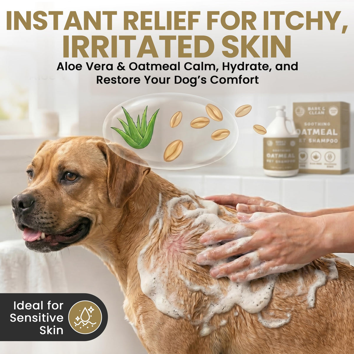 Oatmeal Dog Shampoo 1 Gallon with Pump Hypoallergenic Aloe Vera Coconut Oil V810874