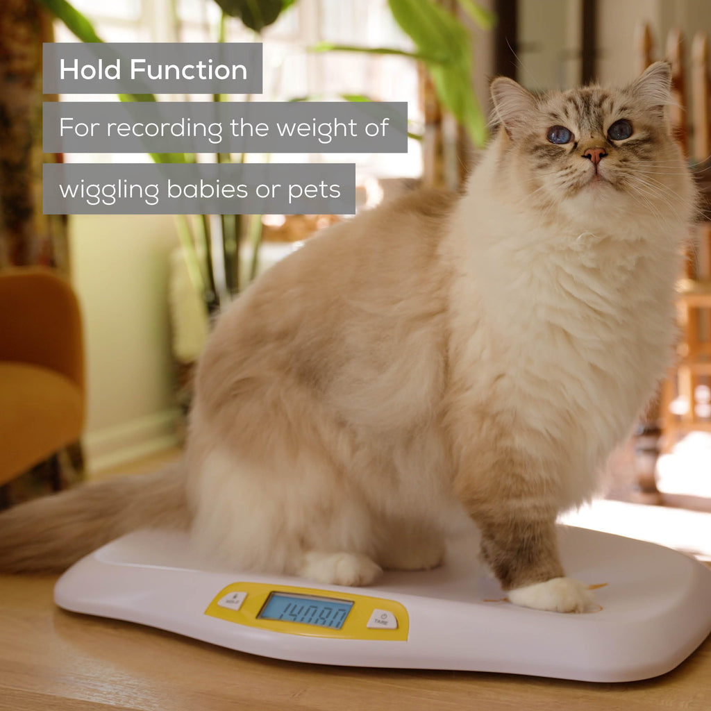 Digital Baby Scale up to 44 lbs with Hold Function P962486