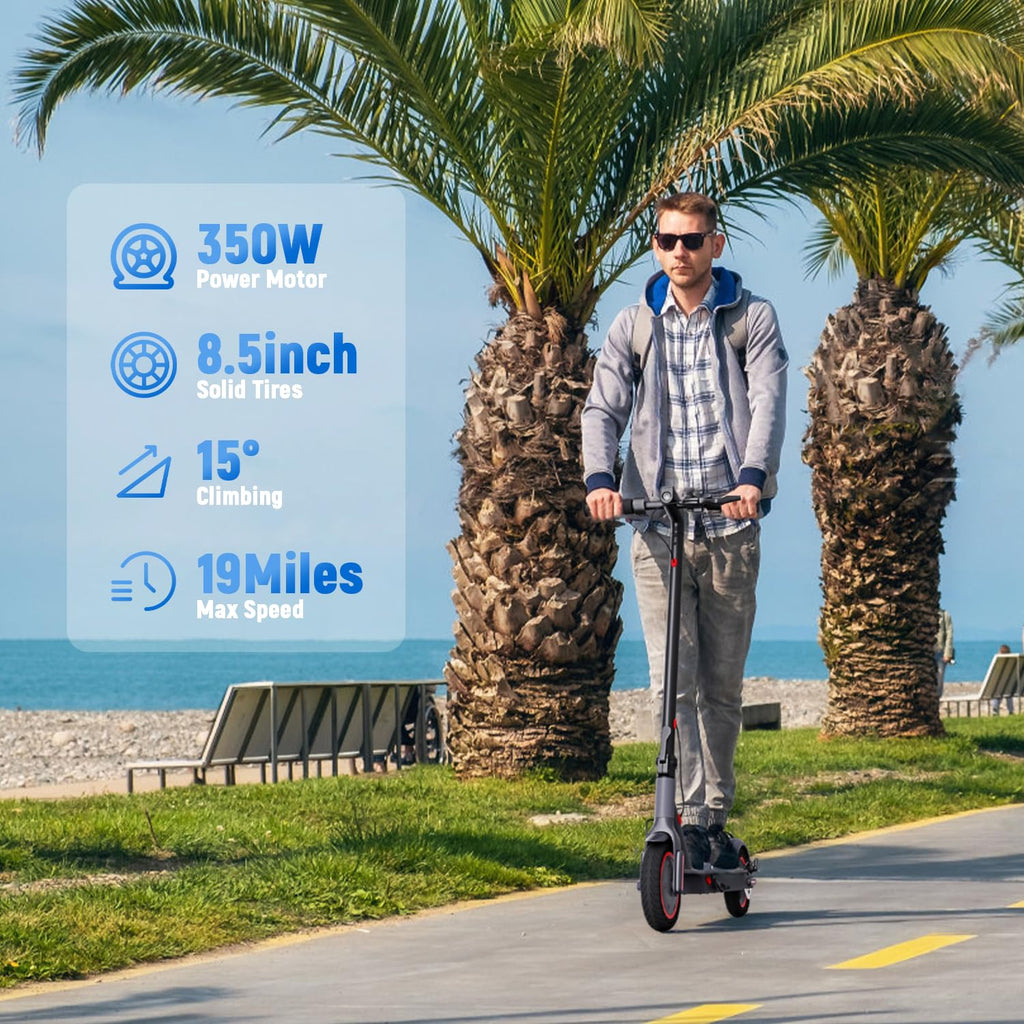 Electric Scooter 350W/500W Motor 8.5'' Solid Tire V2577