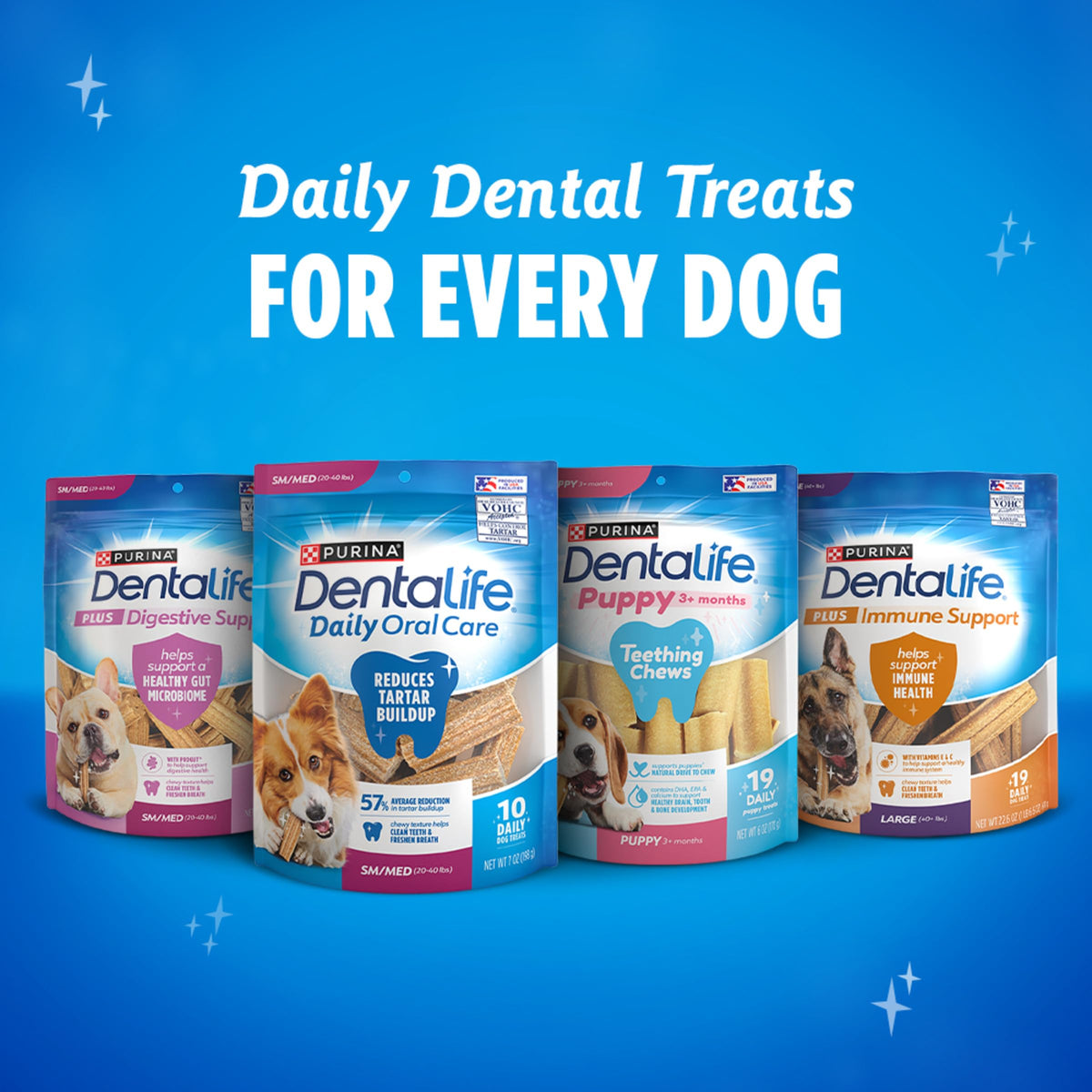 Large Dog Treats D73084