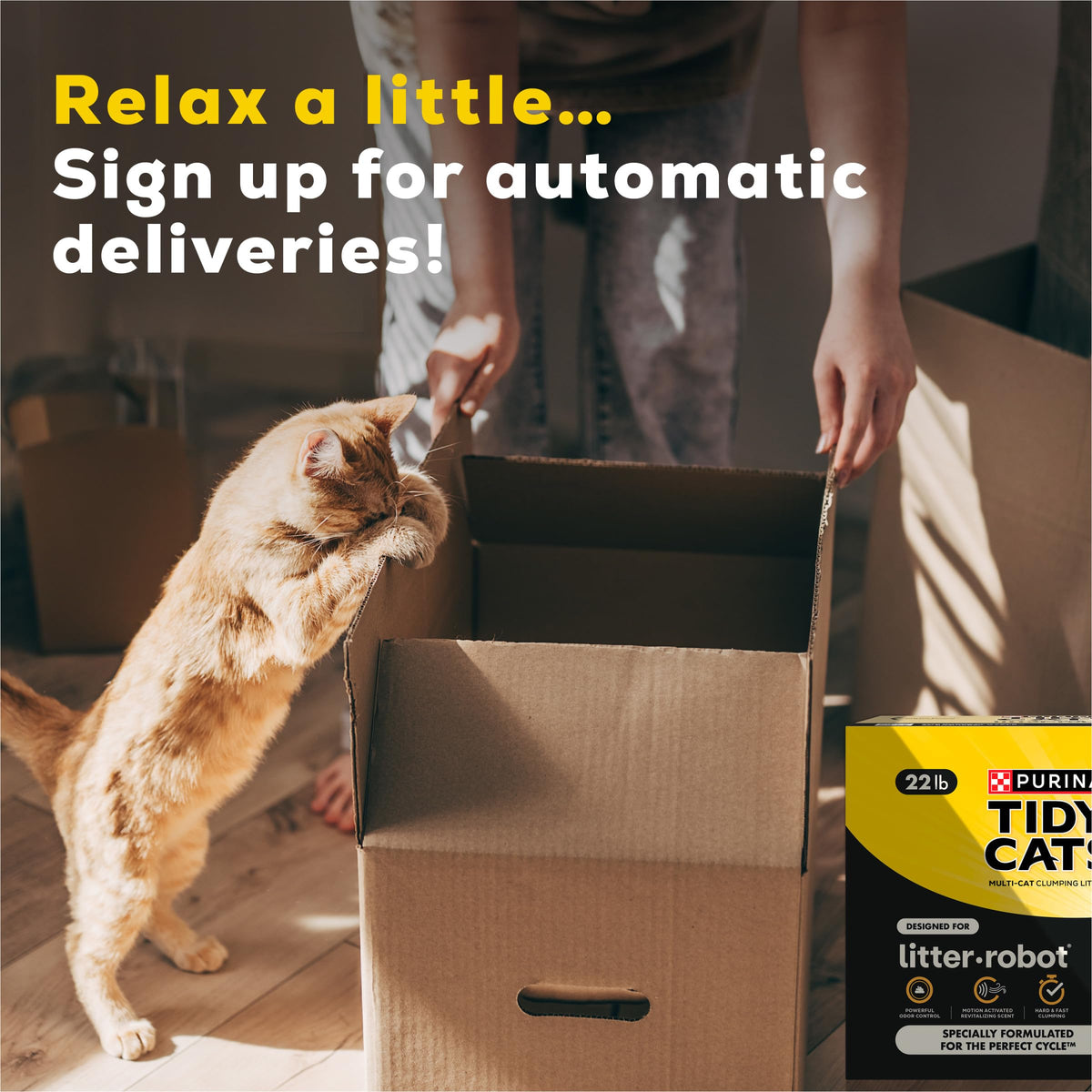 Cat Litter E519943