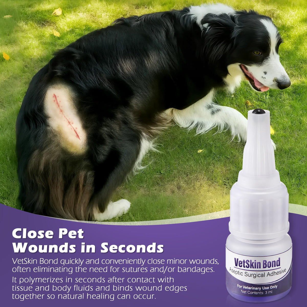 3ml Veterinary Surgical Skin Glue with 10 Applicators B685